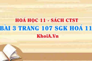 Bài 3 trang 107 SGK Hóa 11 Chân trời sáng tạo